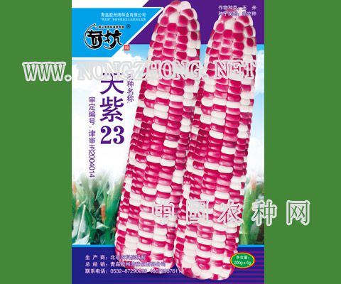 天紫23